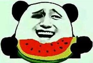 不干了 朝阳吃瓜群众网 娱乐圈小说,不干了！朝阳吃瓜群众网揭秘娱乐圈幕后风云