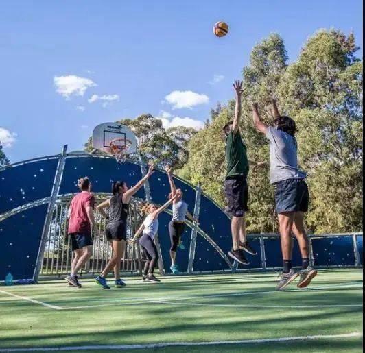 网红大瓜直播 独家爆料重生,重生背后的惊人真相